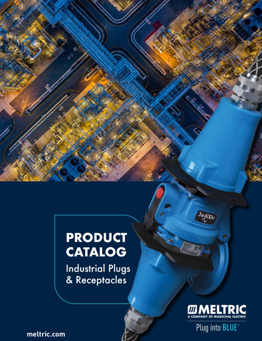 Versión PDF Inglés